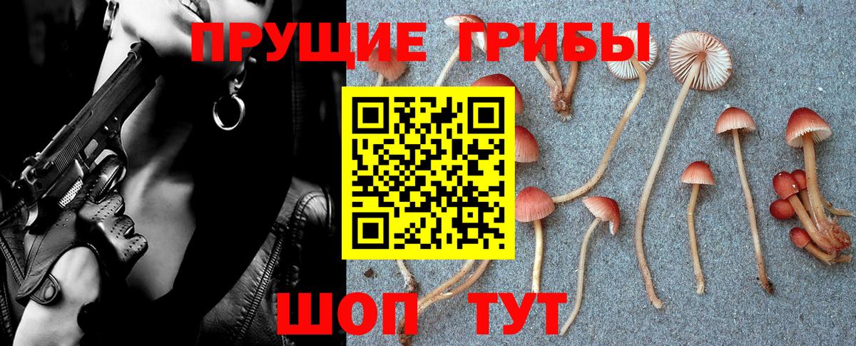 Галлюциногенные грибы ЛСД Дербент