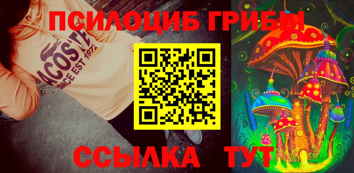 Дербент  Псилоцибиновые грибы мухоморы  Вход с VPN 
